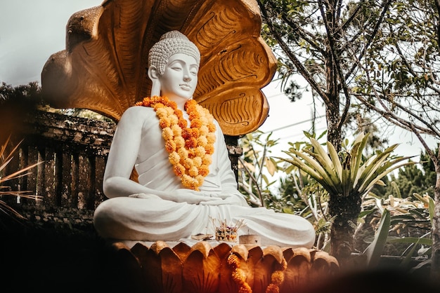 Statue blanche de bouddha aux yeux fermés dans la jungle