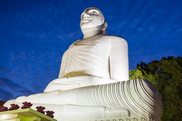 Photo statue de bouddha bahirawakanda vihara