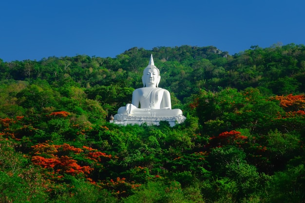 Statue de Bouddha avec ciel bleu et forêt