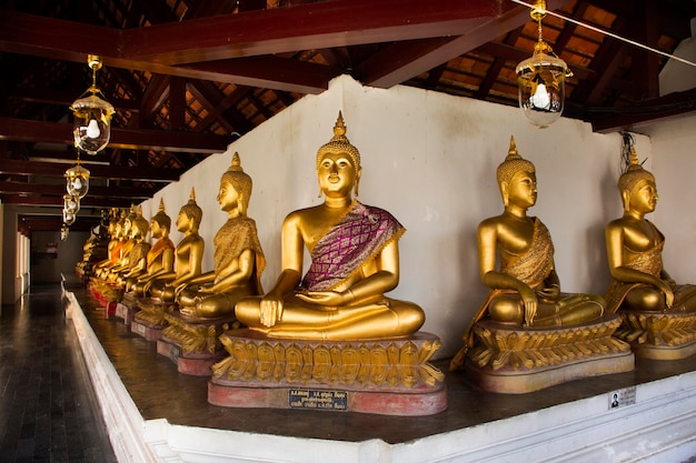 Statue de bouddha doré pour les thaïlandais et les voyageurs étrangers voyage visite respecte la prière et la bénédiction du mythe sacré au Wat Phra Si Rattana Mahathat ou au temple Yai le 28 octobre 2022 à Phitsanulok en Thaïlande