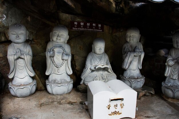 Statue de Bouddha pour la réussite académique du temple Haedong Yonggungsa pour les voyageurs coréens voyage visite respect prière bénisse souhait à Gijang le 18 février 2023 à Busan ou Pusan Corée du Sud