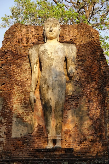 Photo statue de bouddha