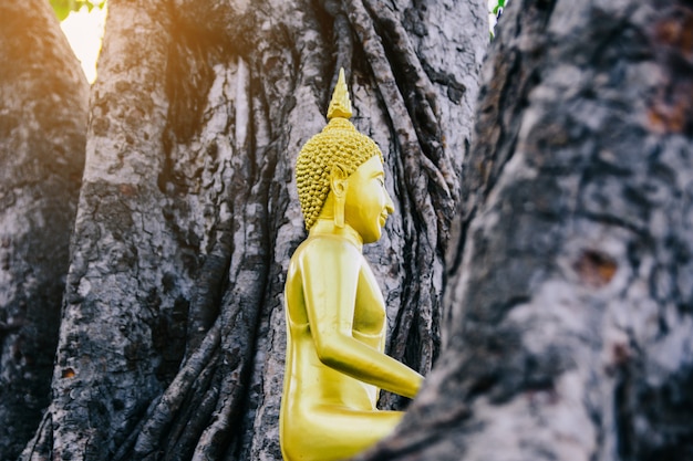 Statue de Bouddha.