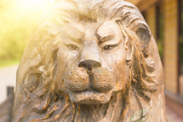 Statue brune de lion dans la lumière du soleil Gros plan de la tête