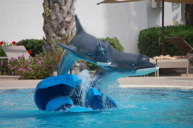 Une statue de dauphin dans la piscine de l'hôtel en été