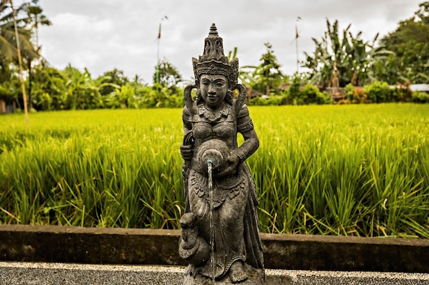 Statue de la déesse dans le jardin de Bali en Indonésie avec fond de champ de riz. Statue de jardin versant de l'eau Bali