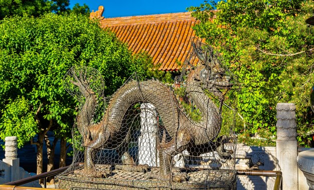 Statue de dragon au Palais d'été de Pékin - Chine