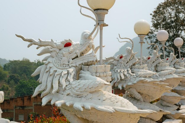 Statue de dragon blanc dans le temple chinois wat Hyua Pla Kang à Chiang Rai