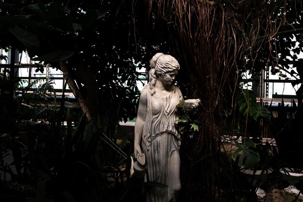 Photo une statue d'une femme avec un livre à la main est entourée de plantes.