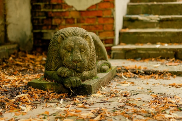 statue d'un lion couché en pierre sur un arrière-plan flou