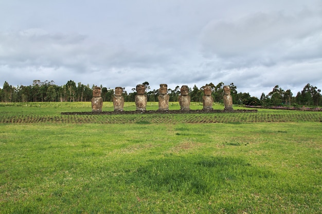 Photo la statue moai à ahu akivi sur l'île de pâques du chili