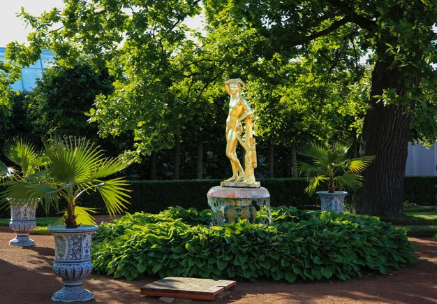 Photo statue d'or dans le parc petergof de saint-pétersbourg en russie