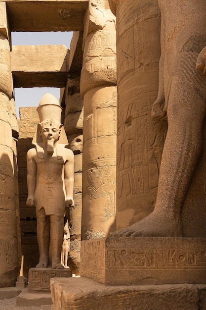 Statue d'un pharaon dans un temple en Egypte