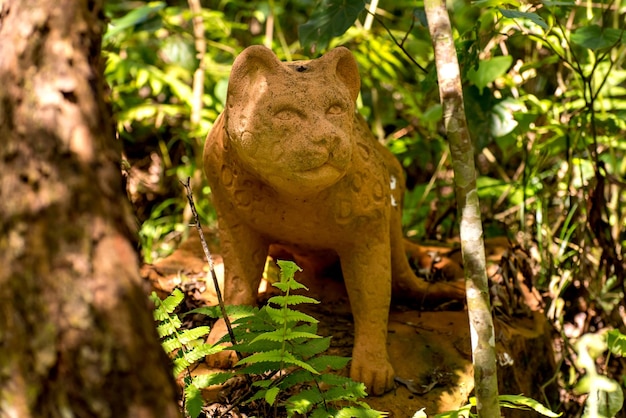 Statue en pierre d'un chat dans la forêt