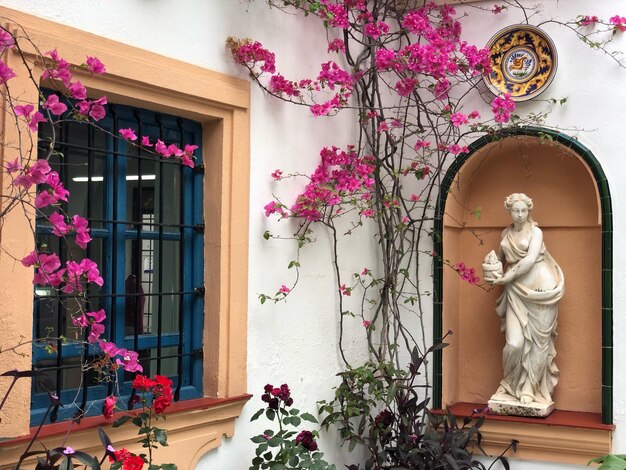 Statue d'une plante en pot sur la fenêtre du bâtiment