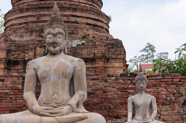 Statue des statues de Bouddha