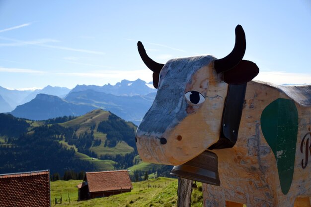 Photo une statue de vache en bois et une vue panoramique du sommet du mont rigi kulm en suisse