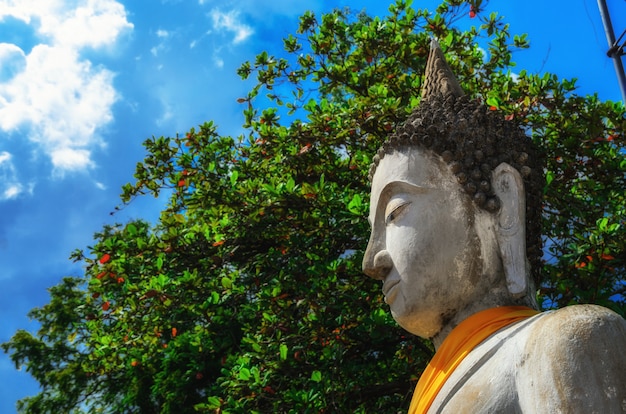 Statues de Bouddha alignées au Wat Yai Chaimongkol Ayutthaya, Bangkok, Thaïlande