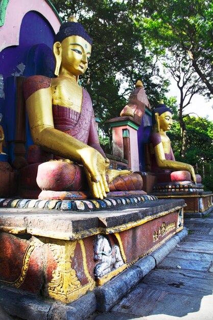 Photo les statues de bouddha dans le temple de swayambhunath. katmandou, népal