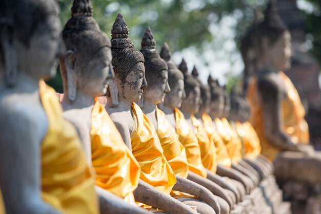 Des statues de Bouddha en rangée à wat yai chai mongkhon