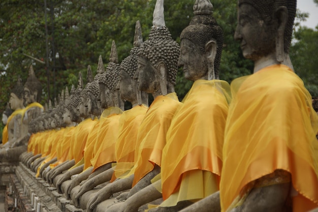 Photo des statues de bouddha en rangée à wat yai chai mongkhon
