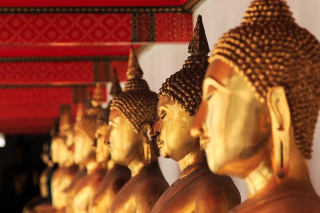 Des statues de Bouddha rangées dans un temple