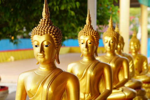 Les statues de Bouddha sont magnifiquement disposées