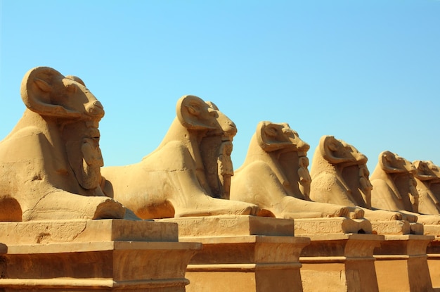 Statues égyptiennes de sphinx dans le temple de karnak