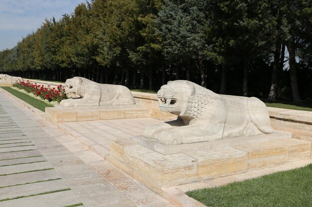 Statues de Lion dans la Route des Lions Anitkabir Ankara