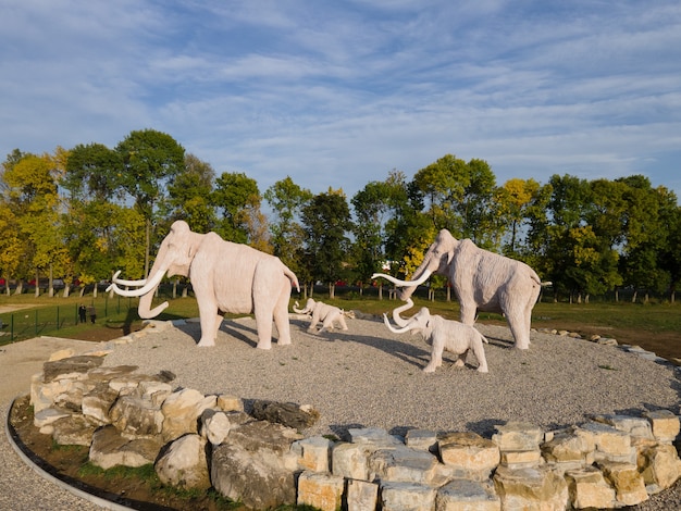 Statues de mammouth dans l'espace de copie du parc