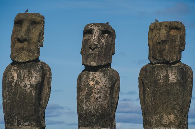 Photo des statues de moai contre le ciel