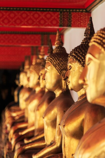 Photo des statues d'or de bouddha en rangée au temple de wat pho