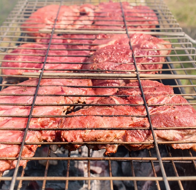 Steak de boeuf grillé