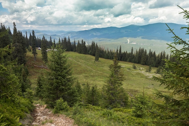 Steppe des Carpates au milieu de la forêt avec vue sur le massif du Gorgan