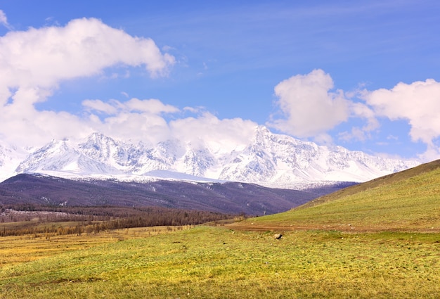 Steppe de Kurai au printemps Restes de neige parmi les montagnes enneigées d'herbe sèche