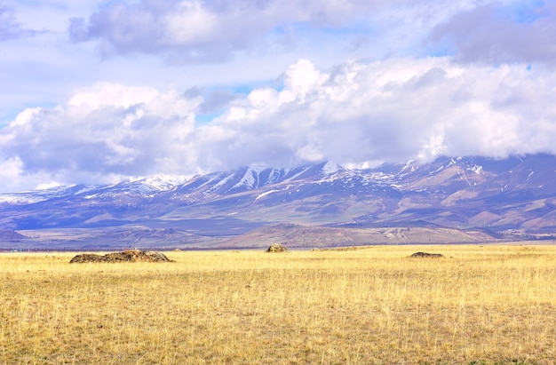 Steppe de Kurai dans les montagnes de l'Altaï Herbe sèche au printemps sur la plaine