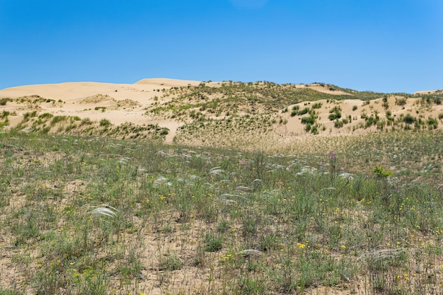 Steppe sèche printanière avec herbe à plumes fleurie à proximité de la dune de sable Sarykum Daguestan