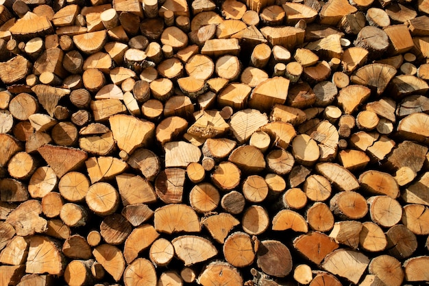 Stock de bois de chauffage pour l'hiver