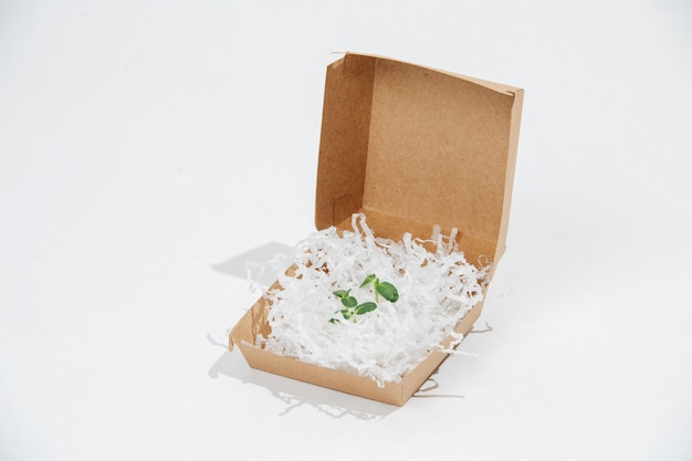 Stock végétal entouré de garnitures dans un récipient en papier sur fond blanc.