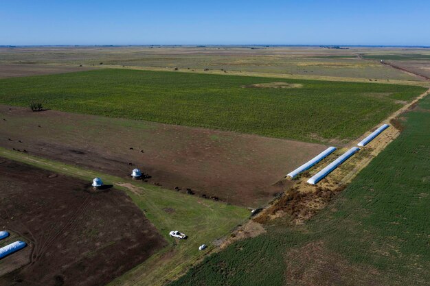 Stockage de céréales en sac silo à La Pampa Argentine