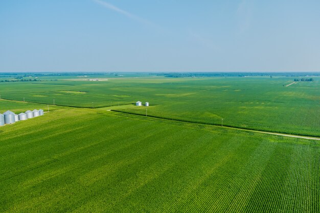 Stockage de produits agricoles avec ascenseur agro sur des silos d'argent pour le traitement du nettoyage à sec autour des champs verts de la vue panoramique