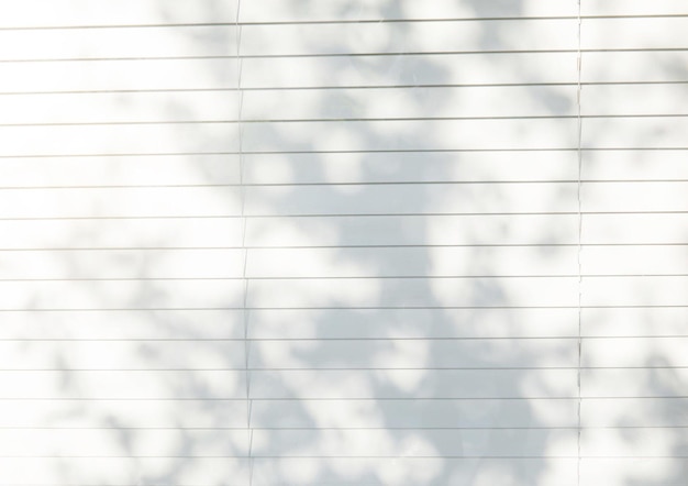 Stores de fenêtre avec ombre grise de feuilles