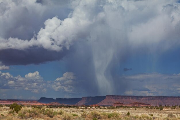 Storm Clouds