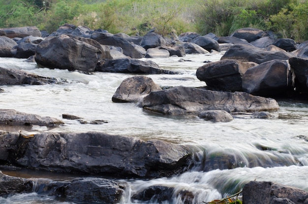 streamlet dans la forêt tropicale, Thaïlande