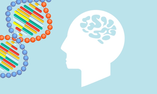 Structure de l'ADN et image du cerveau, concept de santé
