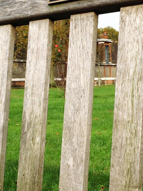 Photo structure en bois sur un champ herbeux