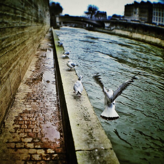 Photo structure construite dans l'eau