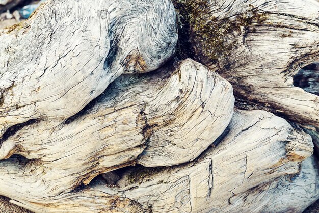 une structure décorative en bois avec des fibres des parties du tronc de l'arbre décoration de fond détails esthétiques