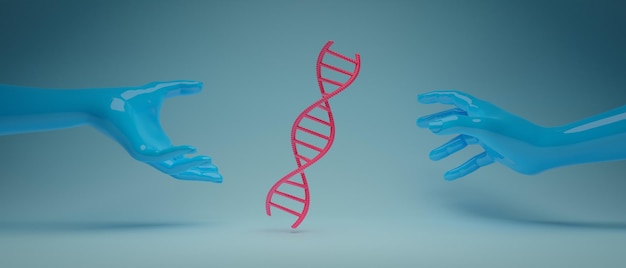 Structure en double hélice de la cellule d'ADN sanguin illustration 3D rendu réseau de soins de santé entreprise cœur et soins
