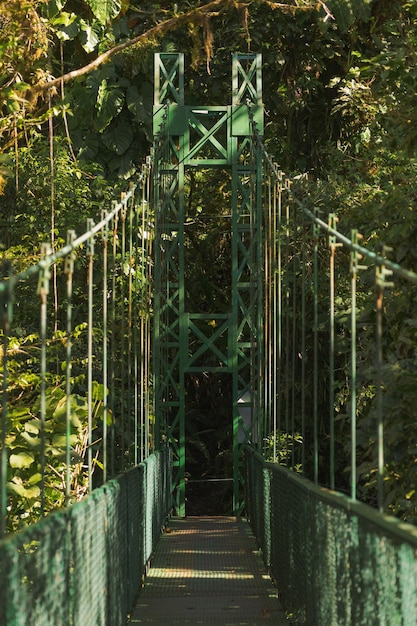 Structure d'un pont suspendu dans la jungle